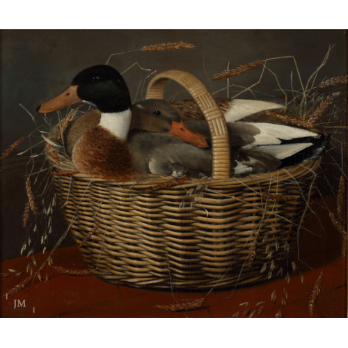 Domestic ducks in a basket